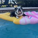 Jon O'Hagan - @jonohagan - Instagram