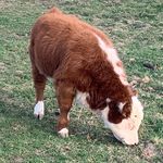 Jon Hager - @hagerspotfarms0 - Instagram