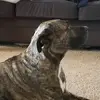John Haller - @johnhaller1 - TikTok