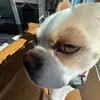 Jones - @jones.hamann10 - TikTok