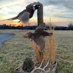 Jon Bryn Hankins - @takem74 - Instagram