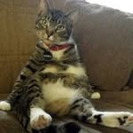 Jon Hanley Rosenberg - @jonhrosenberg - Instagram