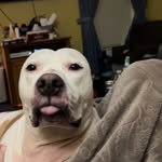 Jon Hanner - @jonc_hanner - Instagram