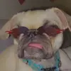 user4979386099255 - @hannerjones - TikTok
