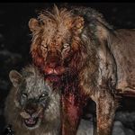 John Hardin - @johnhardin24 - Instagram