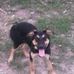 Jon Hardin - Facebook