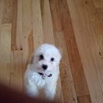 John Hargett - @john.hargett.5 - Instagram