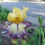 Jon Harper - @jon.harper.5055 - Instagram