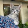 john.hatch - @john.hatch - TikTok