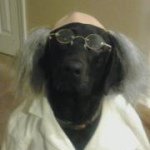 Jon Hatch - @hatchbub - Instagram