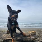Jon Hawkins - @hawkforpax - Instagram