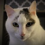Jon Hearn - @midnight_coder08 - Instagram