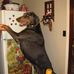 Jon Heflin - Facebook