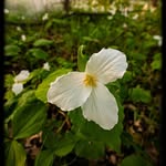 Jon Heller - @jonhellerphoto - Instagram