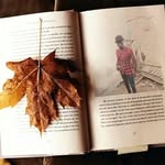 John helman - @johnhelmanmartin - Instagram