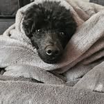 Jon Hermansen - @jon_hermansen - Instagram