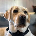 Jon Hermansen - @sxu488 - Instagram
