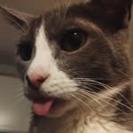 JonHess - @jonhess1967 - Instagram