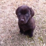 Jon Hodges - @jjohodges - Instagram