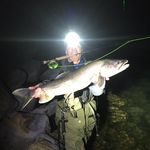 Jon Holbrook - @jonhol3 - Instagram