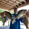 Fishin Oconee / Jon Holden - @fishin_oconee - TikTok