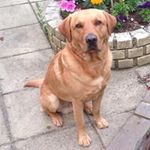 Jon Holden - @holden1518 - Instagram