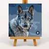 user1323853830653 - @jonjon_holden - TikTok