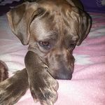jon hollis - @jonjon18581 - Instagram