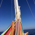 Jon Atle Holmberg - @jonatleholmberg - Instagram