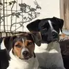 Jonass Holmberg - @jonass.holmberg - TikTok