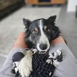 Jon Hoyle - @jon_hoyle - Instagram