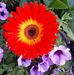 Jon Hutchison - Facebook