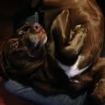John Ingle - @cypresspup - Instagram