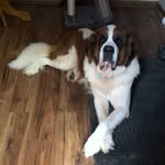 John Inman - @jinman21 - Instagram