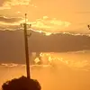 kot boma jorajon - @joninmanu - TikTok