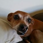 Jon Iverson - @potomac_rover - Instagram