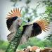 Jon Jack - Facebook