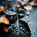 Jon James - Facebook