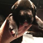 Jon Jansen - @jonjan56 - Instagram
