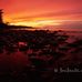 Jon   Jantz   Photography - Facebook