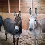 Jon Jessop - @jon.jessop.35 - Instagram