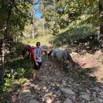 Jon Daniel Jester - @jondjester - Instagram