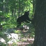 Jon Jester - @jon_jester - Instagram