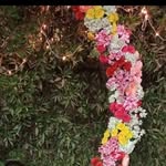 jon kahn - @jonkahn2 - Instagram