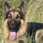 John Karsten - @johnkarsten1 - Instagram