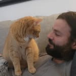 Jon Katz - @jonkatz79 - Instagram
