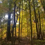 Jon Katz - @jonkatz6 - Instagram