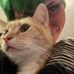 Kelsey Jones - Facebook