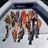 Jon Kenyon - @fishonwithjon - TikTok