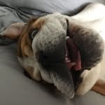 Jon Keys - @j360k - Instagram
